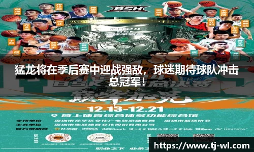 猛龙将在季后赛中迎战强敌，球迷期待球队冲击总冠军！